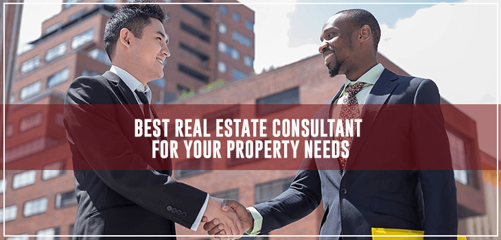 real estate consultant